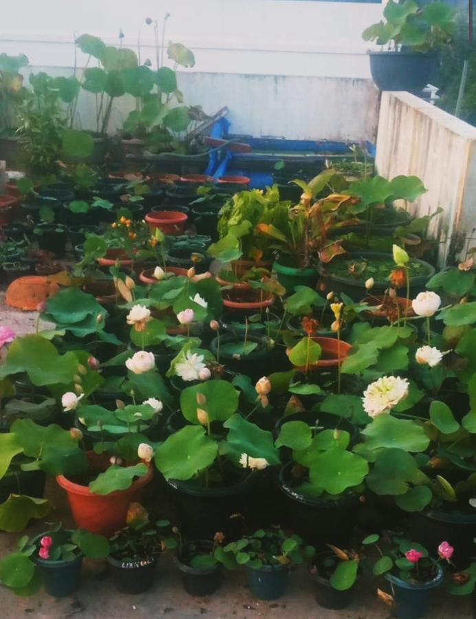 Raelyn'S Homestay Kochi Extérieur photo